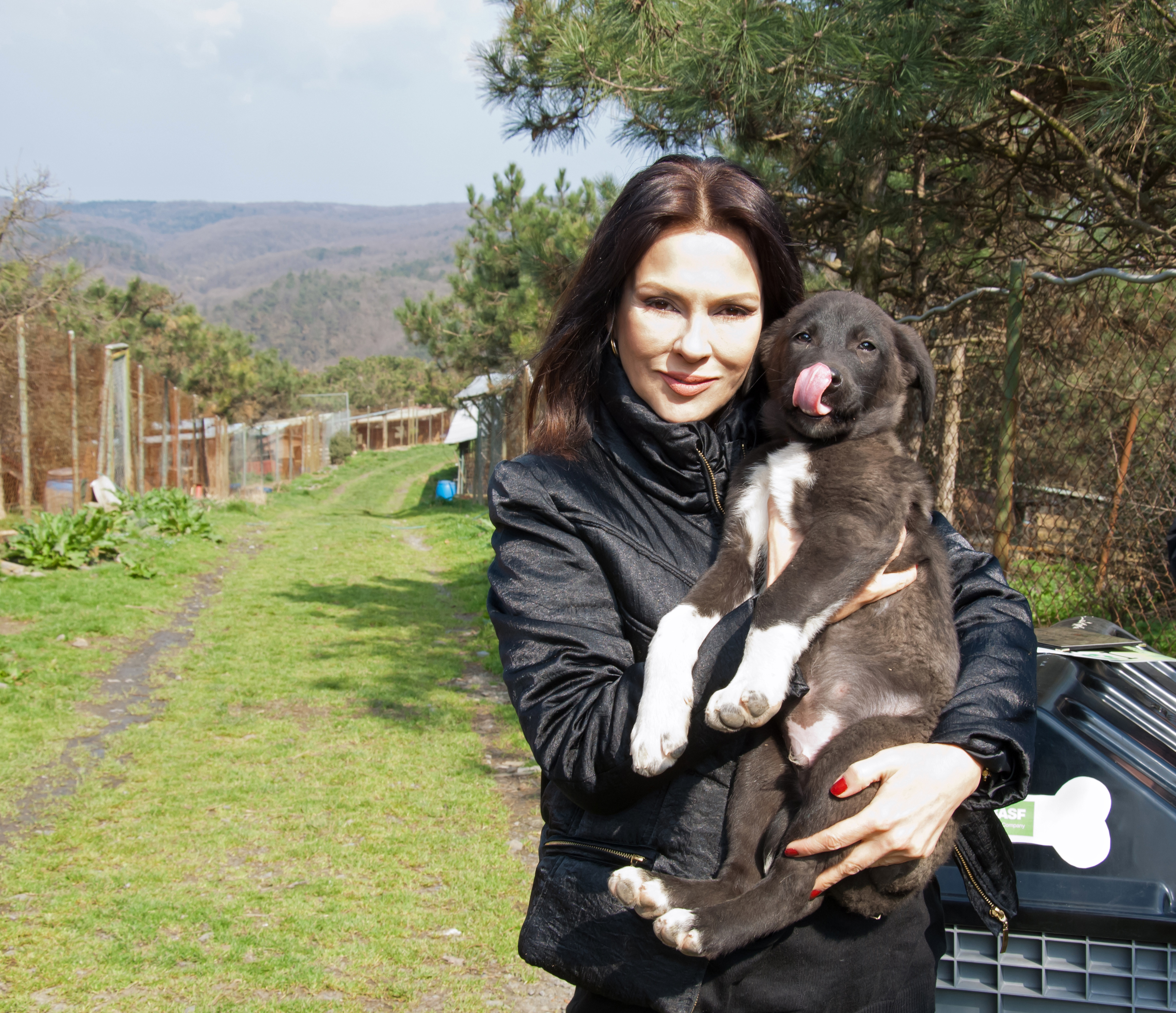 Award Ceremony for animal lovers with Aydan Şener-13.03.2015