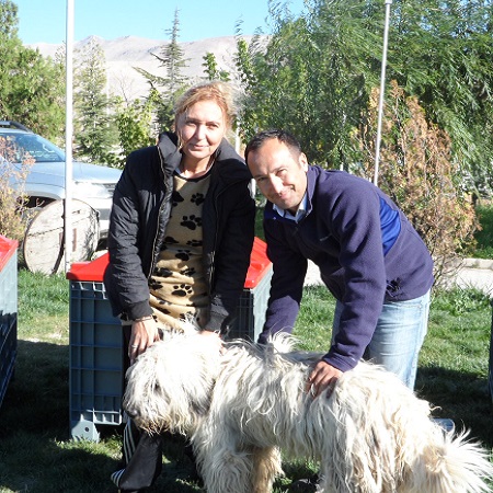 Dogs Pounds to Municipality of Niğde - 30.09.2014